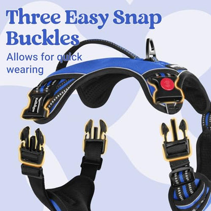 rabbitgoo Dog Harness Small Sized Dog, No Pull Pet Harness with Soft Padded Handle, Adjustable Reflective Vest with 3 Buckles, Easy Walking Harness with 2 Leash Clips, Blue, S - color: Blue, size: Small