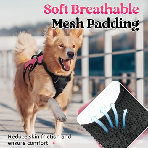 rabbitgoo Escape Proof Dog Harness, Soft Padded Full Body Pet Harness, Reflective Adjustable No Pull Vest with Lift Handle and Leash Clip for Large Dogs Walking Hiking Training, M, Pink - color: Pink, size: Medium (Pack of 1)