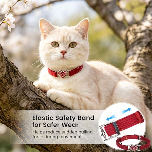 BINGPET Diamond Cat Collar,Adjustable Soft Velvet Leather Safe Kitten Collar with Crystal Heart Charm and Bells,Girl Boy Bling Stylish Cat Collars with Safety Elastic (Red, Neck Girth 8"-10" - color: Red(Heart), size: Neck Girth 8"-10"
