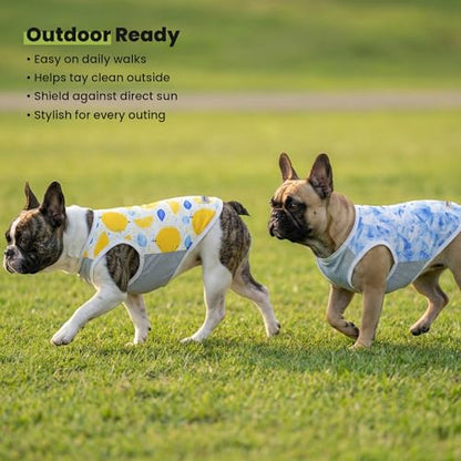 Fitwarm 2 Pack Ice Lemon UPF 50+ UV Sun Protection Dog Shirt, Lightweight Dog Cooling Vest, Quick Dry Summer Clothes for Small Dogs Boy Girl, Pet Outfit, Blue, Yellow, White, XS - color: Ice & Lemon, size: X-Small