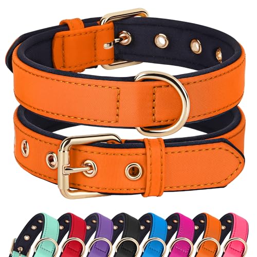 Didog Soft Padded Dog Collar for Large Dogs, Lightweight and Breathable Dog Collar with Metal Buckle, Orange, XL - color: Orange, size: XL: Fit 17-23" Neck