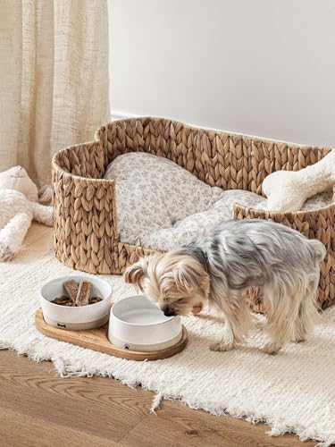 LE TAUCI PET Ceramic Dog and Cat Bowls Set with Acacia Wood Tray - 2 Cup Weighted Non-Slip Food and Water Dishes for Small Dogs & Cats, Pet Bowl Set of 2 - size: S-2 Cups