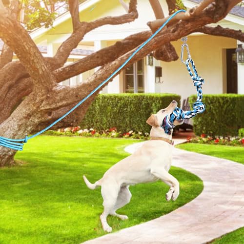 LOOBANI Spring Pole Toy for Pitbull: Bungee Tug of War Toys for Small Large Aggressive Chewers Dogs to Exercise & Muscle Building & Bite Training,Outdoor Heavy Duty Bungee Solo Tree Tugger Hanging Toy - color: Blue+White