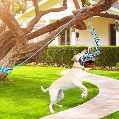 LOOBANI Spring Pole Toy for Pitbull: Bungee Tug of War Toys for Small Large Aggressive Chewers Dogs to Exercise & Muscle Building & Bite Training,Outdoor Heavy Duty Bungee Solo Tree Tugger Hanging Toy - color: Blue+White