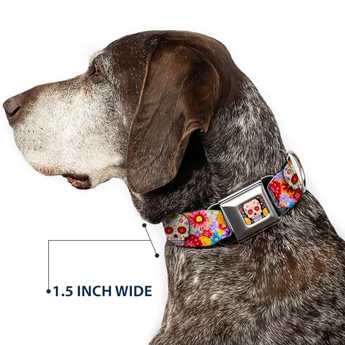 Dog Collar Seatbelt Buckle Sugar Skull Starburst White Multi Color 9 to 15 Inches 1.0 Inch Wide - size: 1" Wide - Fits 9.5-13" Neck - Small