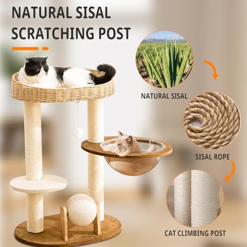 Modern Cat Tree for Indoor Cats, Wood Cat Tree with Natural Sisal-Covered Scratching Posts, Unique Cat Furniture Activity Center with Cat Scratching Ball Toy - color: SCT003 new