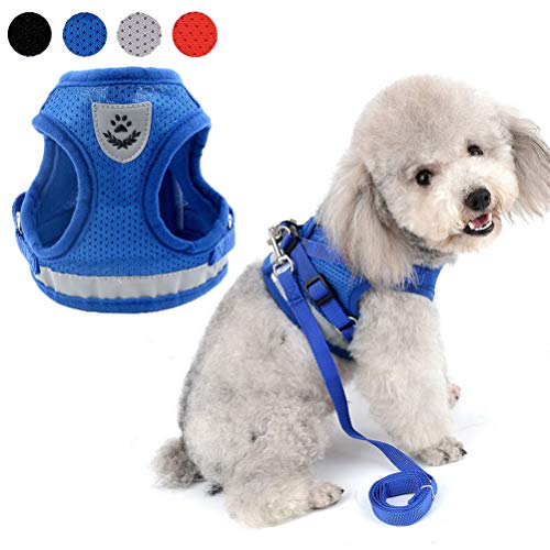 Zunea Small Dog Harness Leash Set No Pull Reflective Adjustable Step-in Soft Mesh Padded Puppy Vest Harness Leads, Cat Harness Escape Proof for Walking, for Girl Boy Pet Dogs Kittens Blue S - color: Blue, size: S (Chest:13.5 Inch, for 3-7lbs)