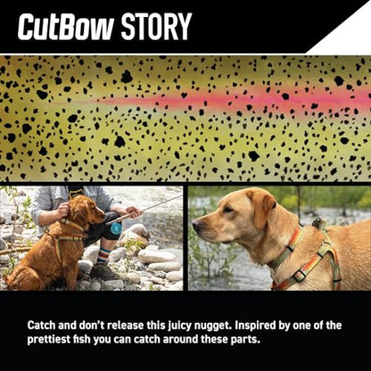 Wolfgang Heavy Duty Martingale Dog Collar with Quick Release Nylon Buckle for Walking & Training, CutBow Print, Small - color: CutBow Print, size: Small (5/8 Inch x 10-12 Inch)