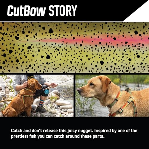 Wolfgang Heavy Duty Martingale Dog Collar with Quick Release Nylon Buckle for Walking & Training, CutBow Print, Large - color: CutBow Print, size: Large (1 Inch x 18-22 Inch)