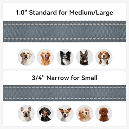Joytale Dog Leash, 4 FT Double-Sided Reflective, Padded Handle Nylon Heavy Duty Leashes for Small Dogs Walking, Grey - color: Grey, size: 4 ft Narrow