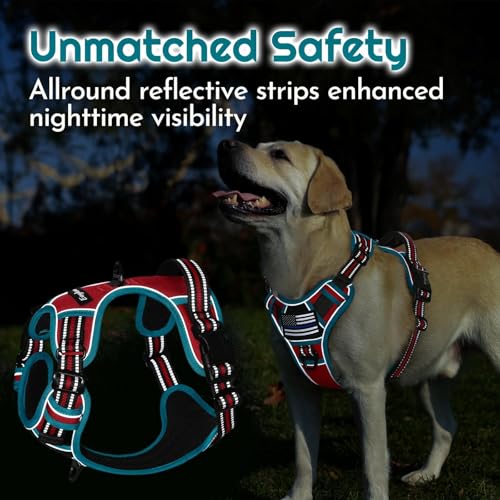 Dog Harness Small Sized, Easy Wearing with 3 Buckles, Adjustable No Pull Pet Harness with 2 Rings for Walking, No Chock Reflective Soft Padded Vest with Control Handle, Red & Teal, S - color: Red & Teal, size: Small