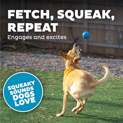 Outward Hound by Planet Dog Squeak Ball Bouncy Fetch Dog Toy, Blue - color: Blue Squeak Toy