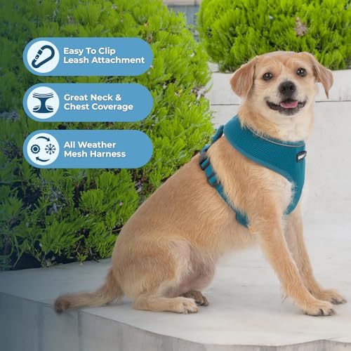 Voyager Aerolite Over the Head Dog Harness, No Pull Breathable Air Mesh Vest, Quick Dry with Reflective Stitching, Adjustable Escape Resistant Harness for Small Medium Large Dogs - Turquoise, Small - color: Turquoise, size: S