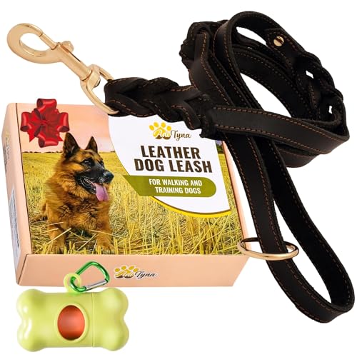 ADITYNA - Double Handle Leather Dog Leash 6ft - Heavy Duty Braided Dog Leash with Traffic Handle - Lead for Training and Walking Medium Large Breeds (Black, Two Handles 6 Foot x 3/4") - color: Black, size: Two Handles 6 foot x 3/4"