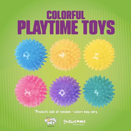 Gnawsome Squeak and Light Football,Multicolor,2.5",10010, 1 Count
