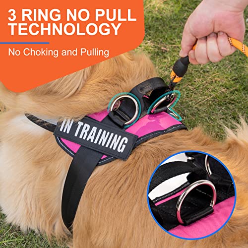 Essential Dog Harness, No Pull Pet Harness with 3 Side Rings for Leash Placement, No Choke, Reflective, Adjustable Pet Vest, Easy On-Off & Improved Control Handle, Training, Walking, Running - size: XS(Neck:11-14",Chest:14-16")