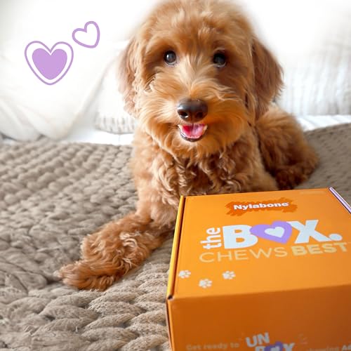 Nylabone Dog Gift Box, Includes 3 Strong Chew Toys and 1 Natural Treat, Gifts for Dogs, Small - Up to 25 lbs, 4 Pack - size: Small (4 Count)
