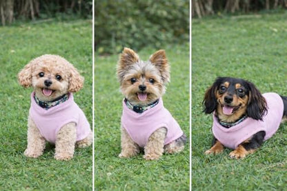JACKO & CO - Fleece Vest Dog Sweater with Leash Ring - Soft, Warm & Lightweight Pullover Coat for Small & Medium Dogs, Puppies & Cats - Cozy Fall/Winter/Spring Pet Jacket (Pink Lemonade, XS 2-4lbs) - color: Pink Lemonade, size: XS (2-4lbs)
