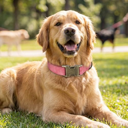TDTOK Soft PU Leather Dog Collar, Classic Leather Collar for Small Medium Large Dogs with Quick Release Metal Buckle, Durable & Adjustable Fit 10-23" Neck - color: Pink, size: S