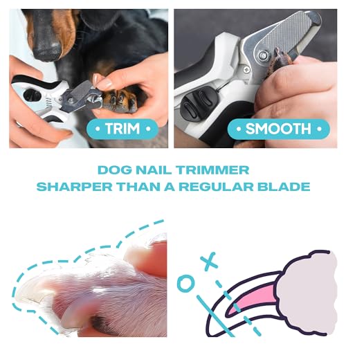TwoEar Dog Nail Clippers with Light, Dog Nail Trimmers with Quick Sensor & Safety Guard, Razor Sharp Blade, LED Pet Nail Clippers/Dog Toenail Clippers for Medium Large Dogs, Black