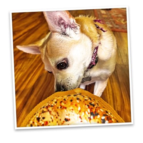 Doggijuana Cafe Combo Refillable Juananip Toy Bundle | Avocado Toast & Everything Bagel | Funny Dog Toy Plush with Catnip and Refill | Interactive Chew for Play - style: Avocado Toast & Everything Bagel