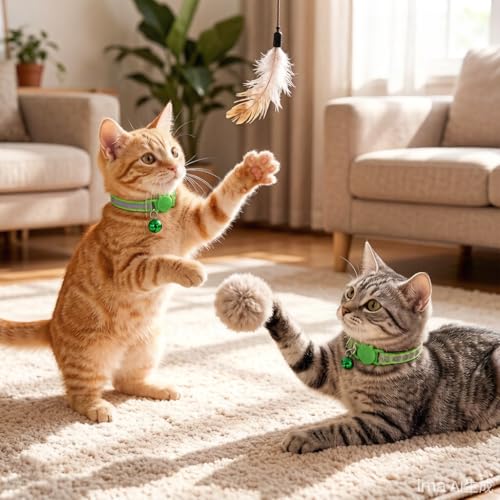 Fluorescent Cat Collar with Bells, 2 Pack Break Away Kitten Collar with Bells, Breakaway Cat Collar for Girl Cats Kitty Adjustable 7.5-12.5 Inch - color: Green
