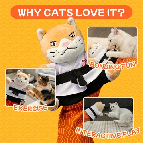KITTY KURLZ & Karate Kitty Active Indoor Cat Play Bundle – Interactive Ball Track Scratcher + Cat Wrestling Glove with Protective Arm Sleeve