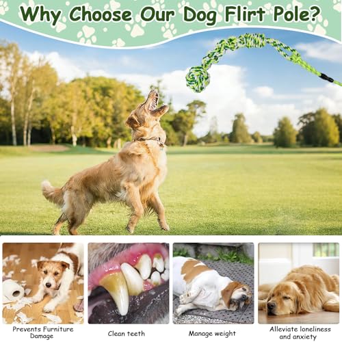 Flirt Pole for Dogs Heavy Duty, Interactive Chase & Tug of War Teaser Wand with Detachable Replacement Knot Ball and Rope Chewing Toys Flirt Stick for Small Medium Large Dogs Exercise & Training - color: green