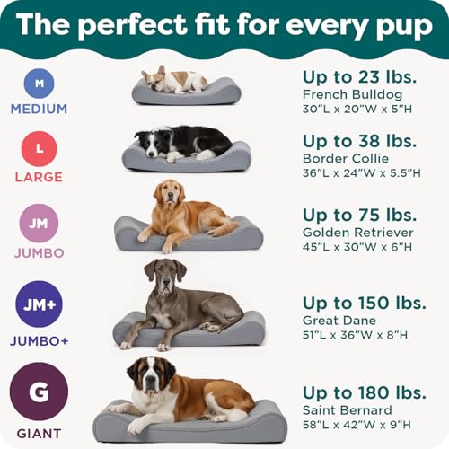 FurHaven Orthopedic Dog Bed for Large/Medium Dogs, Luxe Lounger Contour Mattress with Medical-Grade Solid Orthopedic Foam for Joint Support, Removable Washable Cover, Large, Plush Suede, Cream