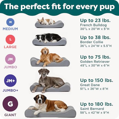FurHaven Orthopedic Dog Bed for Large/Medium Dogs, Luxe Lounger Contour Mattress with Medical-Grade Solid Orthopedic Foam for Joint Support, Removable Washable Cover, Large, Plush Suede, Cream
