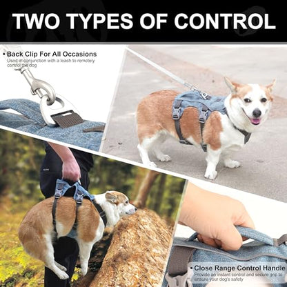 Escape Proof Dog Harness Small Sized Dog, Reflective No Pull Dog Vest with Handle, Lightweight Full Body Pet Harness Adjustable for Walking,Training(Blue,Chest:16-27") - color: Blue, size: S: Chest 16-27", Fit 12-25 lbs