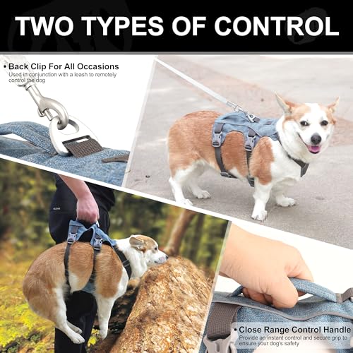 Escape Proof Dog Harness Medium Sized Dog, Reflective No Pull Dog Vest with Handle, Lightweight Full Body Pet Harness Adjustable for Walking,Training(Blue,Chest:17-32") - color: Blue, size: M: Chest 17-32", Fit 25-55 lbs