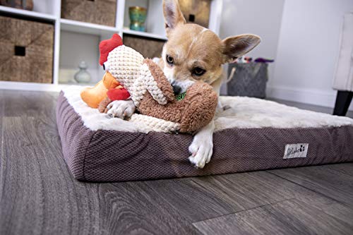goDog Checkers Skinny Rooster Squeaky Plush Dog Toy, Chew Guard Technology - Brown, Small - color: Checkers - Skinny Rooster (Brown), size: Small