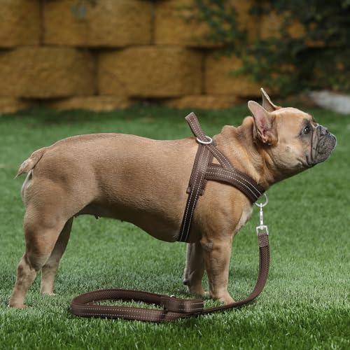 Plutus Pet No Pull Dog Harness with Breathable Mesh Padded, Adjustable Reflective Escape Proof Dog Harness, Quick Fit Dog Vest Harness for Small Medium Large Dogs(XXS, Chocolate) - color: Chocolate, size: XXS: chest 11.8"-15"