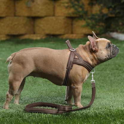 Plutus Pet No Pull Dog Harness with Breathable Mesh Padded, Adjustable Reflective Escape Proof Dog Harness, Quick Fit Dog Vest Harness for Small Medium Large Dogs(XS, Chocolate) - color: Chocolate, size: XS: chest 13.8"-17.3"