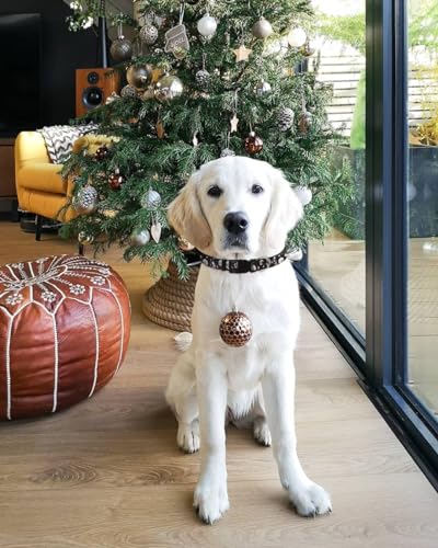 Christmas Dog Collars for Medium Dogs, 2 Pack Quick Release Cute Xmas Dog Collar - color: Christmas, size: M
