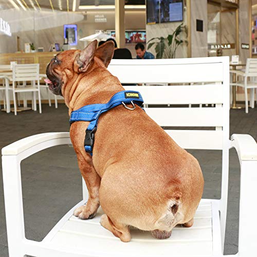 iChoue French Bulldog Harness Adjustable Padded Locked Buckle with Handle for Frenchie Pug English Boston Terrier Dogs, Blue, Small - color: A Harness Blue, size: Small ( 5 - 25 lbs )
