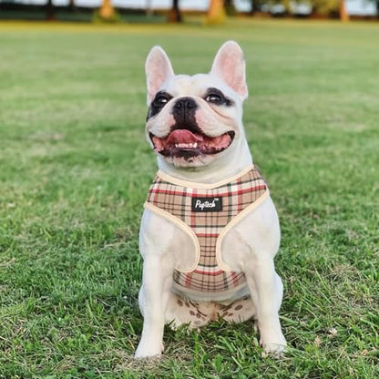 PUPTECK Soft Mesh Dog Harness and Leash Set Pet Puppy Cat Comfort Padded Vest No Pull Harnesses, Khaki, XS - color: Khaki, size: XS (NECK: 10", CHEST: 10"-14")