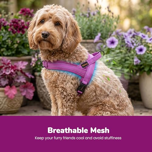 Didog No Pull Dog Harness with Soft Mesh Padded,Reflective & Quick Fit Light Weight Dog Strap Vest Harness,Easy for Walking Training (S:Chest 18-22", Purple) - color: Purple, size: S: Chest 18-22", Fit 19-29 lbs