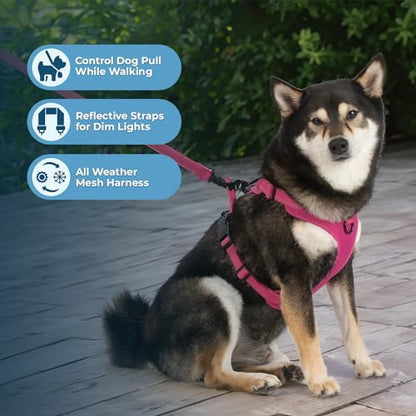 Voyager Dog Harness Dual Leash Attachment No-Pull Control Adjustable Soft but Strong Pet Harness for Medium and Large Dogs with 3M Reflective Technology, Leash Set Fuchsia Nylon, M (Chest: 20-25") - color: Leash Set Fuchsia Nylon, size: M (Chest: 20 - 25"