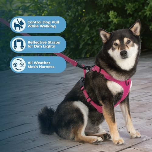 Voyager Dog Harness Dual Leash Attachment No-Pull Control Adjustable Soft but Strong Pet Harness for Medium and Large Dogs with 3M Reflective Technology, Leash Set Fuchsia Nylon, L (Chest: 25-30") - color: Leash Set Fuchsia Nylon, size: L (Chest: 25 - 30"