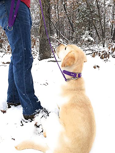 Regal Dog Products Waterproof Leash – 5 ft. Purple Dog Leash with Easy to Use Collar Hook, Lightweight, and Proof Training Pet Lead with Vinyl-Coated Webbing for Small, Medium, Large, or XL Dogs - color: Purple