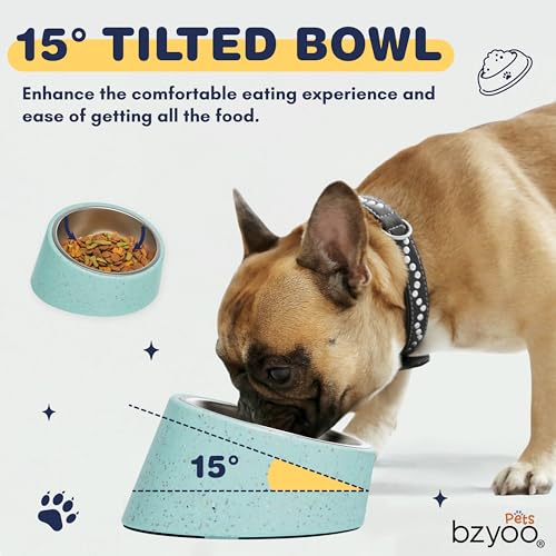 bzyoo 16oz Tilted Dog Bowl for Small Dogs & Cats, 15° Elevated Stainless Steel Pet Feeder, Ergonomic Anti-Vomiting Food Bowl for Frenchie, Pug, Persian Cat, Non-Skid Melamine Stand, Sprinkle (Green) - color: Green
