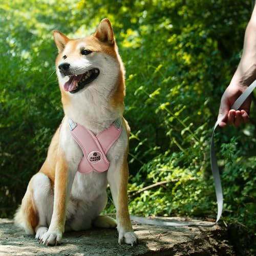 Dog Harness with Leash Set Adjustable Soft Padded Step-in Dog Vest No Choke No Pull Reflective for Small Medium Pets with Poop Bags and Dispenser, Solid and No-chew, Pink S - color: Pink, size: S (Neck 18.1-21.2'' Chest 21.2-25.2'')