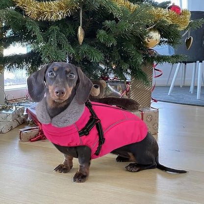 Dog Coats for Large Dogs, Dog Puffer Jacket with Harness Built in, Pet Warm Winter Vest, Rose L - color: Rose, size: Large