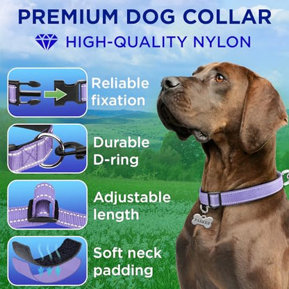 TECEUM Reflective Dog Collar – Lavender – XXS – Extra Soft Padding – Basic Nylon Pet Collar – Quick Release Buckle – Fits Small, Medium and Large Dogs, Puppies, Cats – ESA & Service Dog Options - color: Lavender, size: XX-Small