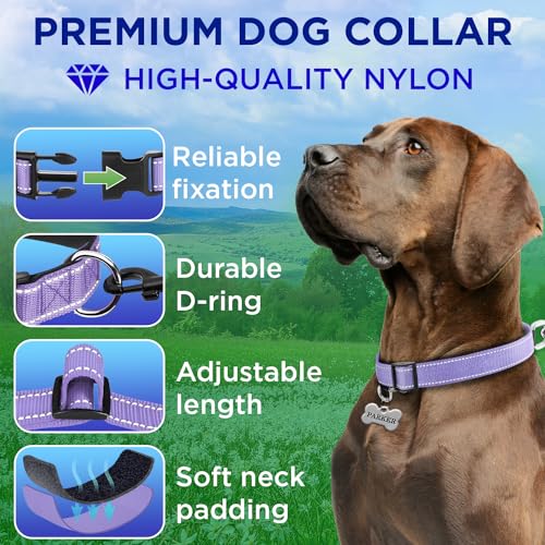 TECEUM Reflective Dog Collar – Lavender – M – Extra Soft Padding – Basic Nylon Pet Collar – Quick Release Buckle – Fits Small, Medium and Large Dogs, Puppies, Cats – ESA & Service Dog Options - color: Lavender, size: Medium
