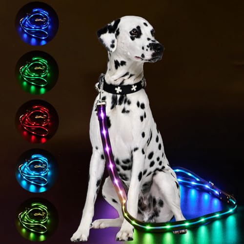 LWBMG Led Dog Leash 9 Lighting Modes Light Up Pet Leash Rechargeable - 4 Ft Lighted Dog Leashes for Night Walking Safety Glow in Dark, Silicone Pet Lead for Small Medium Large Dogs Walking at Night - color: Black, size: 4FT