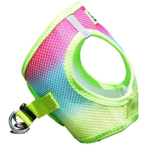 DOGGIE DESIGN American River Dog Harness Ombre Collection - Rainbow XS - color: Rainbow, size: X-Small