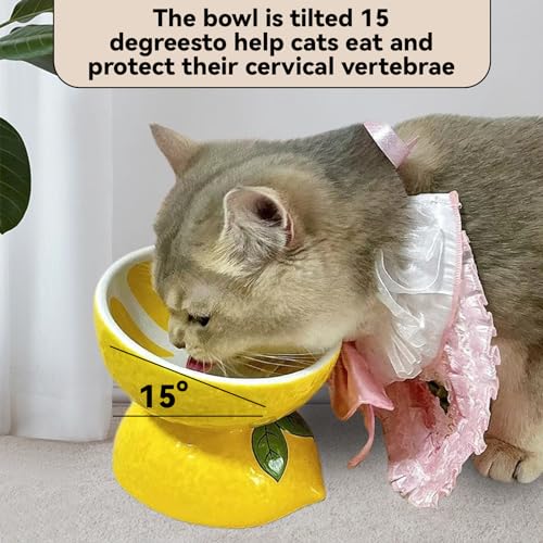 Hamiledyi Ceramic Raised Cat Bowl 5In Elevated Wide Cat Bowl for Food and Water Anti Vomiting Tilted Pet Feeder Dish for Indoor Cats and Small Dogs(Lemon)